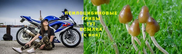 COCAINE Белоозёрский