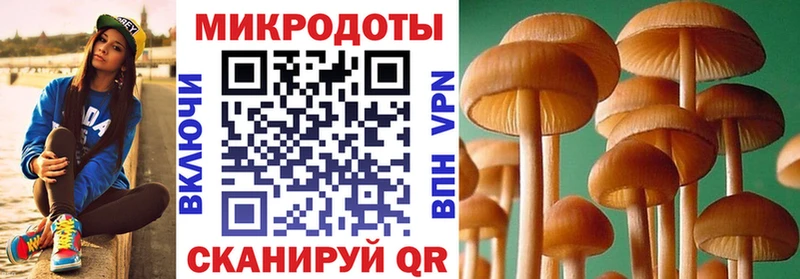 Галлюциногенные грибы Cubensis  нарко площадка какой сайт  omg ONION  Великие Луки  купить наркотики цена 